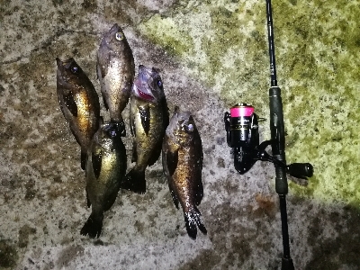 苦手なパターン