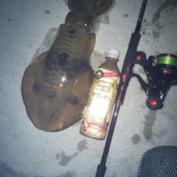 久しぶりの釣行