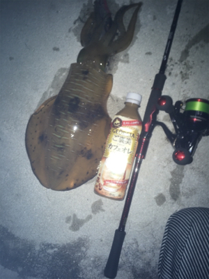 久しぶりの釣行