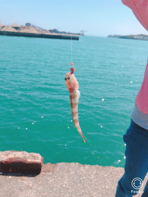 可愛いサイズですが釣れました