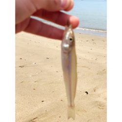 キスシーズン到来!!