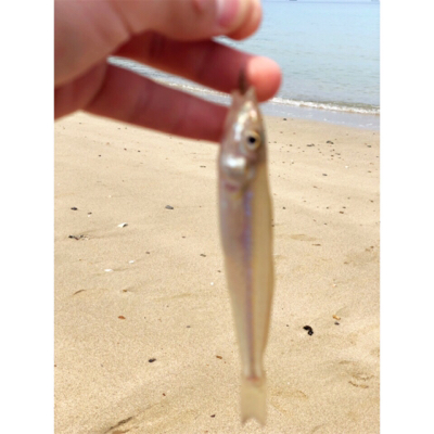 キスシーズン到来!!