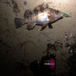 雨の力を借りて