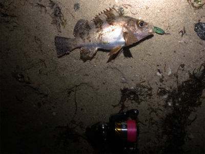 雨の力を借りて