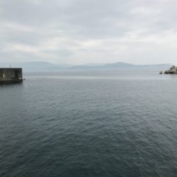 コウちゃん3連発