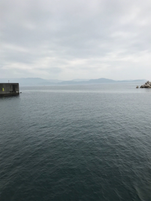 コウちゃん3連発