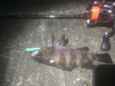 60分限定メバリング