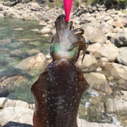 ヤバイくらいのんが来た(*_*)