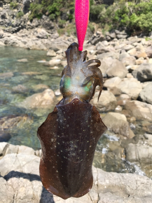 ヤバイくらいのんが来た(*_*)