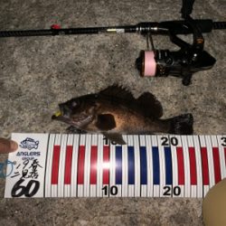 今シーズン一番