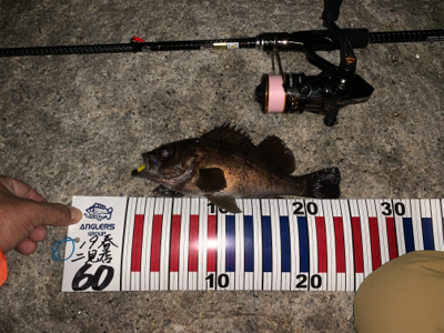 今シーズン一番