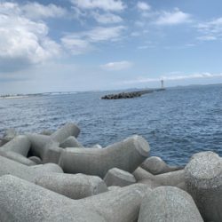 神戸和田防 フカセ釣り