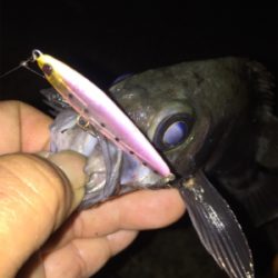 モーニングメバリング