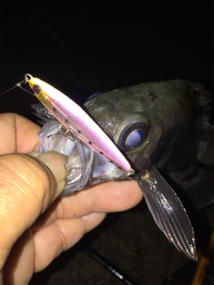 モーニングメバリング