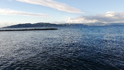 シャロータンコブゲーム