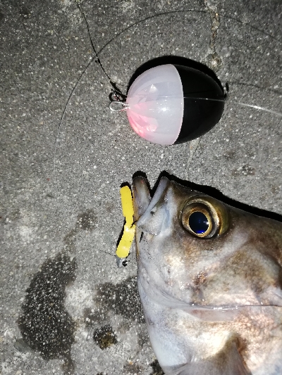 平成最後のメバリング