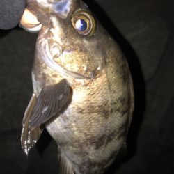 体は寒くても心は熱い