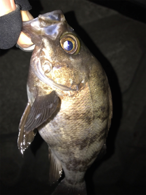 体は寒くても心は熱い