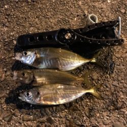 GWスタート！！