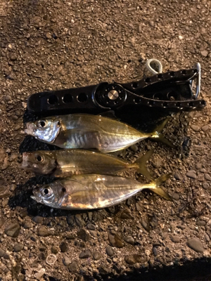 GWスタート！！