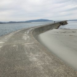 郡六突堤でキス2匹