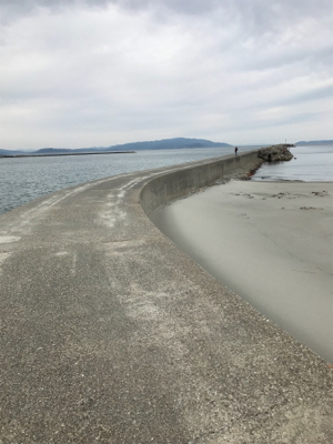 郡六突堤でキス2匹