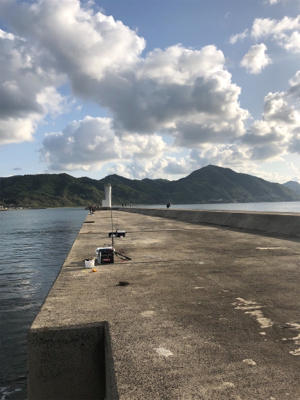 エギングのはずが