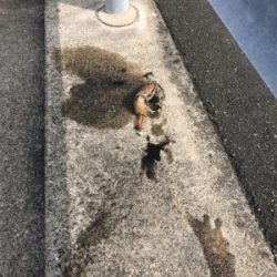 嬉しい2杯です。