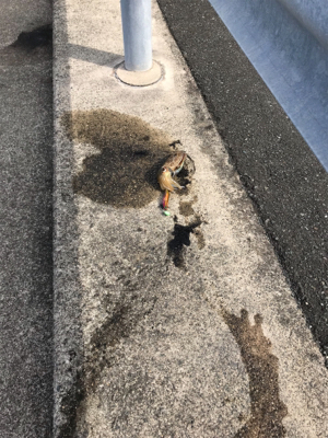 嬉しい2杯です。