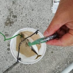 一年以上ぶりの