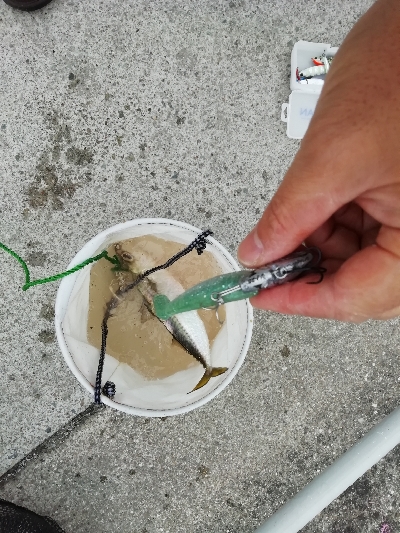 一年以上ぶりの