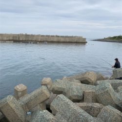 芥屋漁港にてムツ連続ヒット！