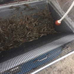 GW前半戦、雨の前の勝負