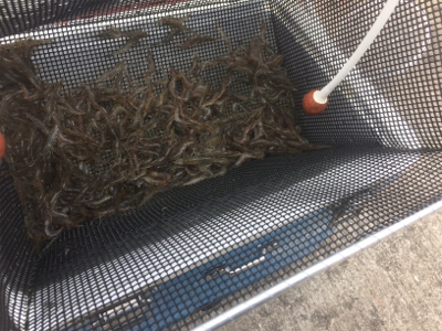 GW前半戦、雨の前の勝負