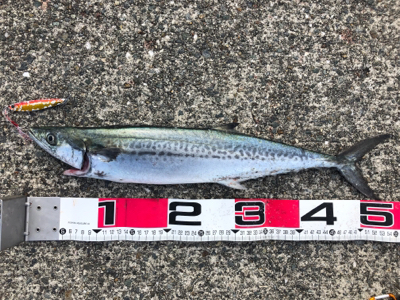 GW初日、タイミングよかった^ ^