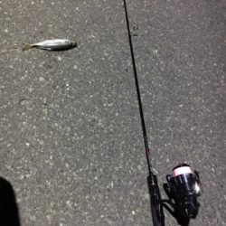 小粒ライトゲーム