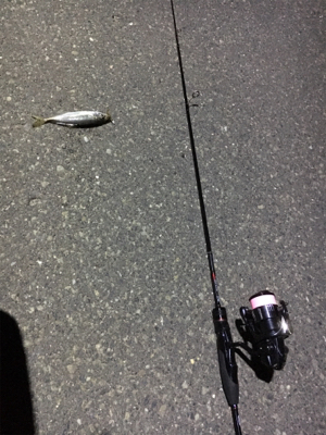 小粒ライトゲーム