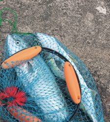 直江津港第3東防波堤