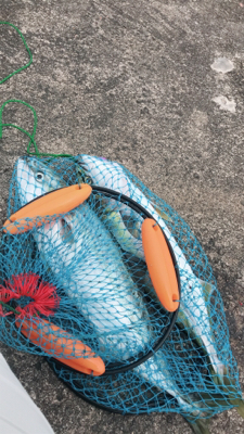 直江津港第3東防波堤