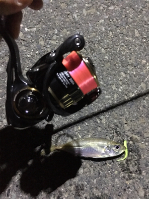 ナイトアジング