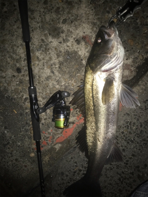 ラストフィッシュ❗þ…