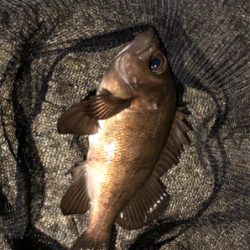 元号またぎライトゲーム