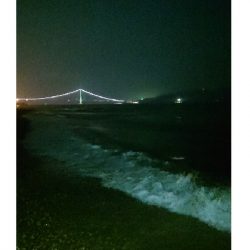 メバルが釣れない