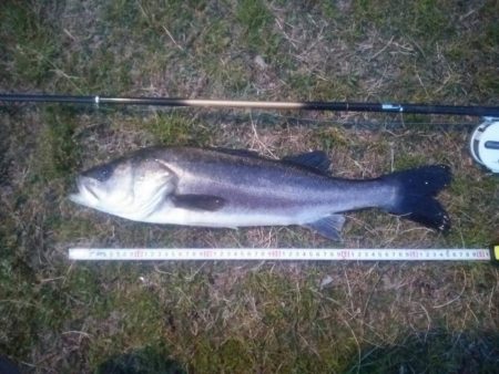 短時間にて　~初物~