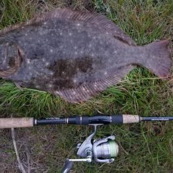 3月の岡山ヒラメ実釣！捕獲！