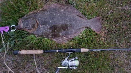 3月の岡山ヒラメ実釣！捕獲！