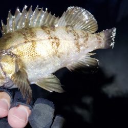 家族旅行のついでに