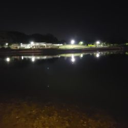 何とかボウズは逃れたが