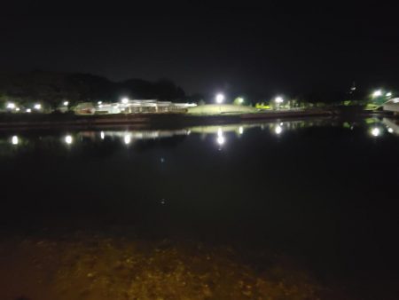 何とかボウズは逃れたが