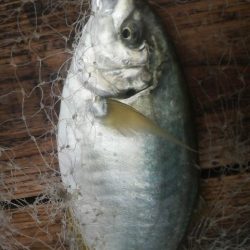 優しい方々に感謝です。